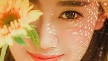 Ảnh gốc 365px